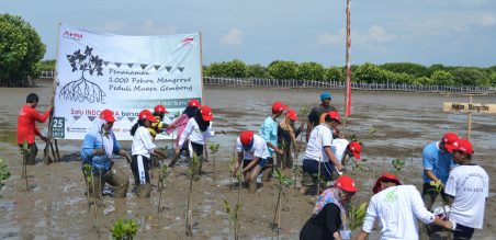 Siswa Sekolah Satu Hati binaan AHM mengikuti penanaman mangrove di desa Pantai Bahagia Muara Gembong (25/6)