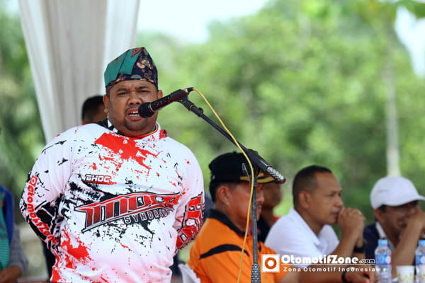 Amir Hamzah, promotor gelaran