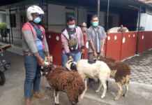 Daya Group Peduli Terhadap Sesama