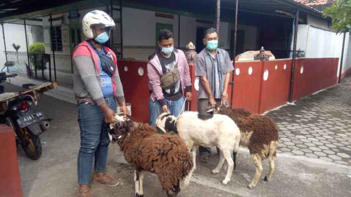DAM-PEDULI-SESAMA