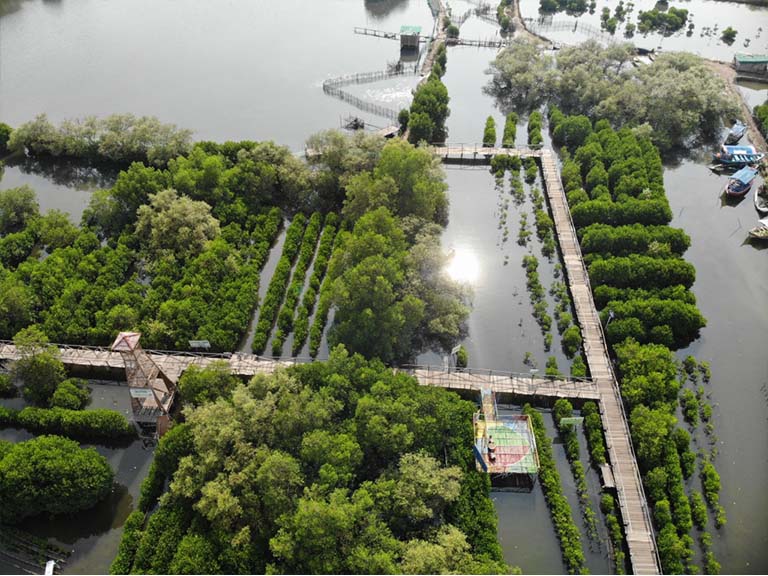 AHM Lestarikan Keanekaragaman Hayati di Jabar