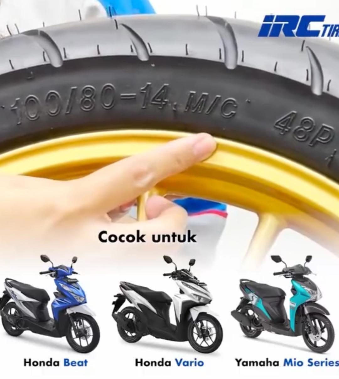 Fasti Pro Ring 14
