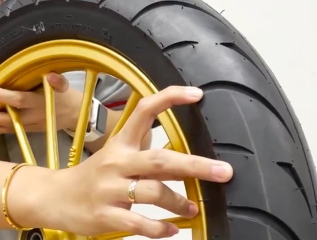 Fasti Pro Ring 14