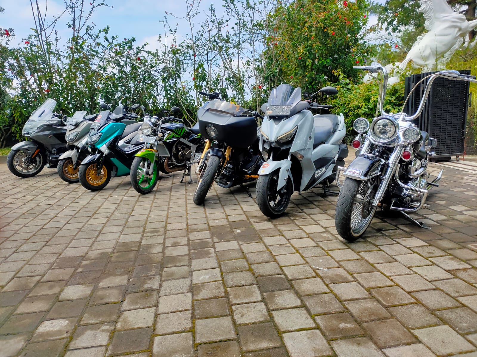 Kawahara Go To Kalimantan