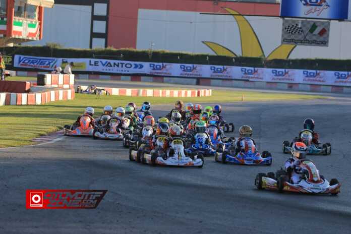 Pertarungan Mini Rok Seru