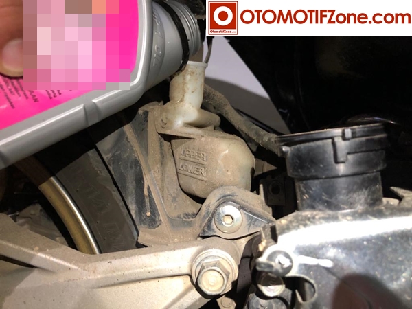 Radiator Motor