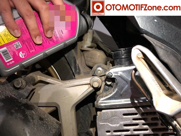 Radiator Motor