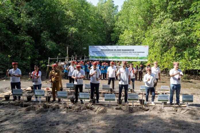 Peringati Hari Lingkungan Hidup Sedunia, Yayasan AHM Tanam Puluhan Ribu Mangrove (1) Peringati Hari Lingkungan Hidup Sedunia, Yayasan AHM Tanam Puluhan Ribu Mangrove