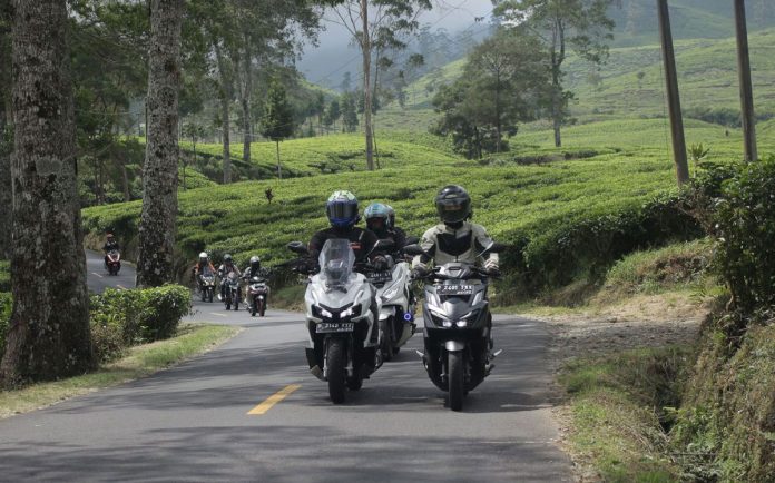 Kenali Arti dan Fungsi Marka Jalan Panduan Penting untuk Pengendara