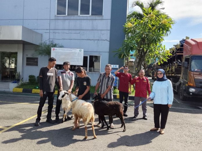 DAM Berbagi Hewan Kurban di Momen Idul Adha 1447 H (1) DAM Berbagi Hewan Kurban di Momen Idul Adha 1447 H